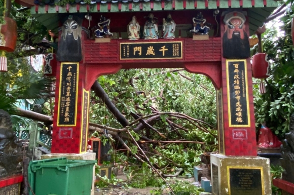 WhatsApp Image 2023-09-02 at 10.39.14 (1)