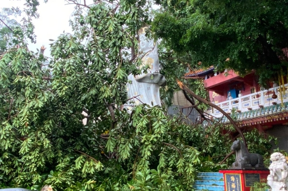 WhatsApp Image 2023-09-02 at 10.39.15